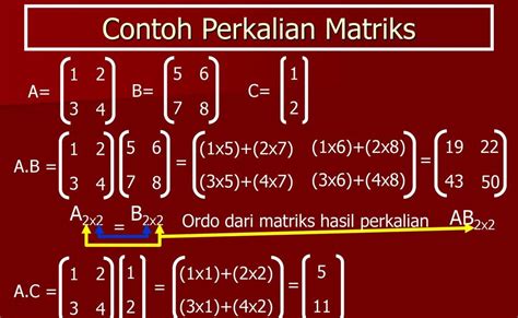 Contoh Soal Perkalian Matriks Ordo X Sexiezpix Web Porn