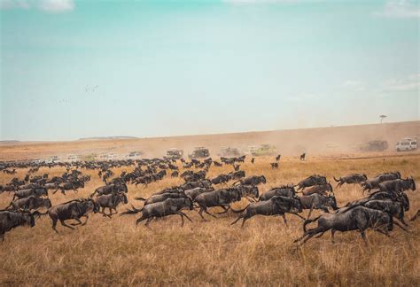 Visit Africa Maasai Mara National Park Kenya