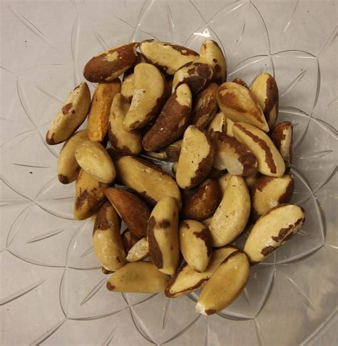 Brazil Nuts Raw Unsalted No Shell All Natural Kariba Farms