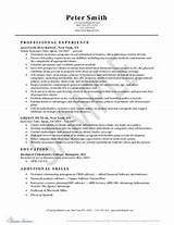 Pictures of Life Insurance Agent Resume
