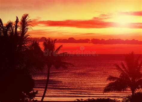 Amazing Sunset Stock Photo Image Of Nature Diffused Peace 416018