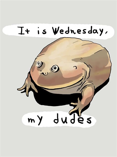 Wednesday Frog T Shirt For Sale By Fluffysminion Redbubble