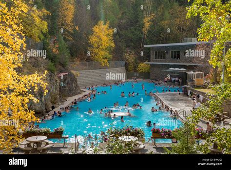 Hot Springs Swimming Pool Radium Hot Springs Kootenay National Stock