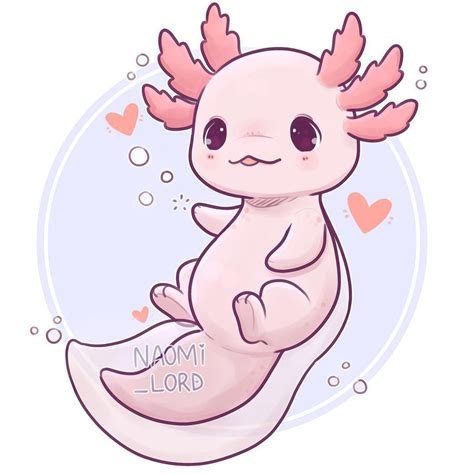 Chibi Easy Axolotl Drawing Pin On Cute Wittle Tings