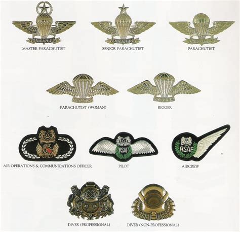 Insignia Awards And Decorations Of The Singapore Armed Forces South