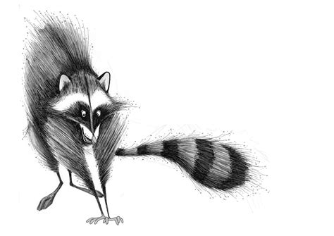 Animal Caricature Raccoon Art Surreal Art