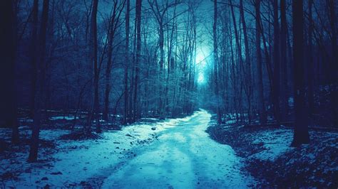 Moonlit Path Snow Forest Winter Wallpaper Forest Wallpaper