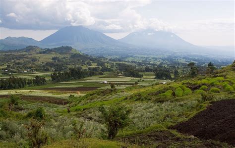 Volcanoes National Park Rwanda The Sustainable Travel