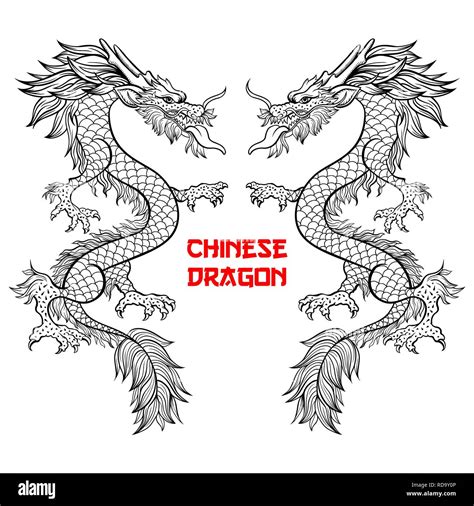 Two Chinese Dragons Hand Drawn Vector Illustration Mythical Creature