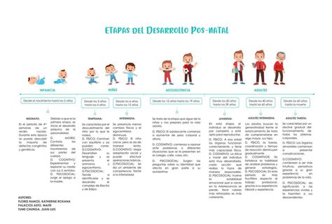 Línea De Tiempo De Las Etapas Del Desarrollo Pos Natal Udocz