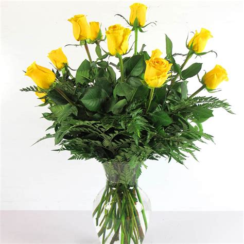 Premium Dozen Long Stem Yellow Rose Arrangement Dierbergs Markets