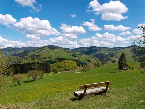 Landscape Black Forest Germany · Free Photo On Pixabay