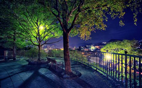 Park Garden Bench Trees Night Lights Lamp Post Fence Railing View