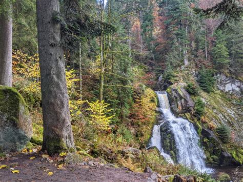 4 Options For The Perfect Black Forest Road Trip Itinerary