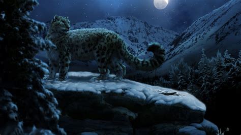 40 Snowy Moonlight Wallpaper