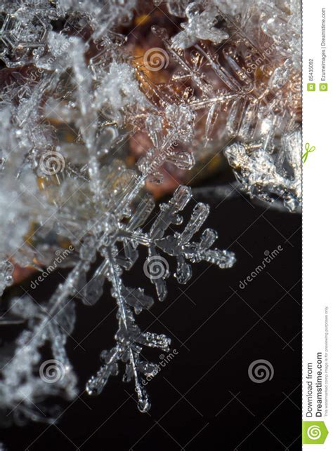 Closeup Macro Snowflake Stock Photo Image Of Shiny Macro 85435092