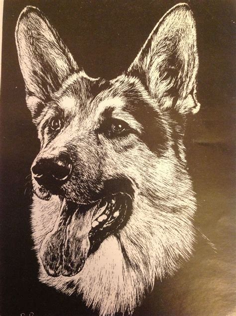 Vintage German Shepherd Print Dog Art Scratchboard Art Comic Tattoo