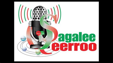 Raadiyoo Sagalee Qeerroo Bilisummaa Oromoo Adoolessa 8 2014 Youtube