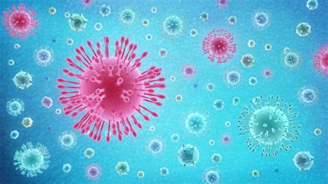 Descubren Cómo Penetra El Coronavirus En Las Células Humanas