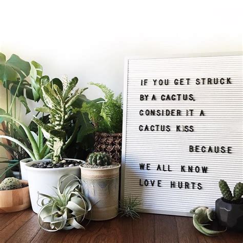 See this Instagram photo by @urbanjungleblog • 3,328 likes | Plants