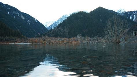 A Mountain Lake With Turquoise Water Flooded Trees Stock Video Video