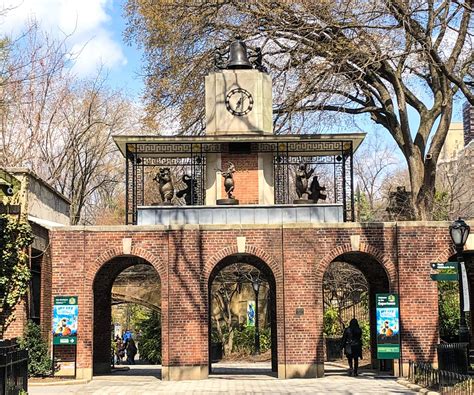 In conjunction with the central park zoo's operations, the wcs offers children's educational programs, is engaged in restoration of endangered species populations. April Trip to New York City. Central Park Zoo. Vivacious ...