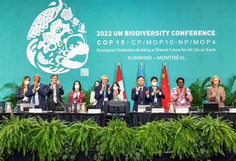 How Effective Will Un Biodiversity Agreement Be In Saving Species At