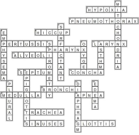 The Ultimate Guide To Anatomy Crossword Puzzle Answers
