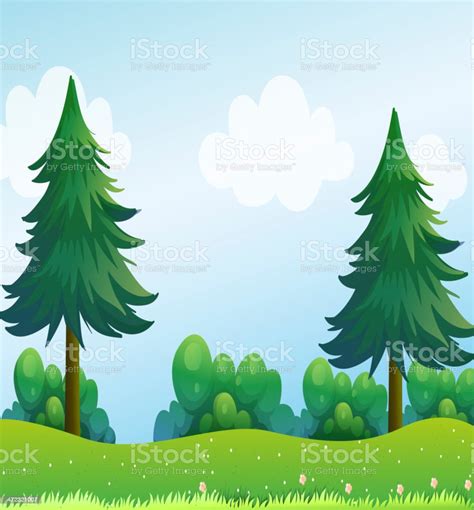 Pine Trees At The Hilltop Stock Illustration Download Image Now
