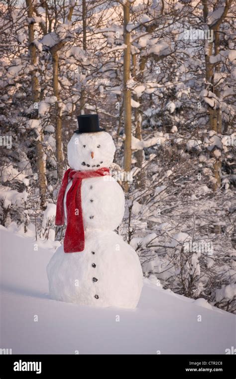 Snowman Wearing Scarf Hi Res Stock Photography And Images Alamy