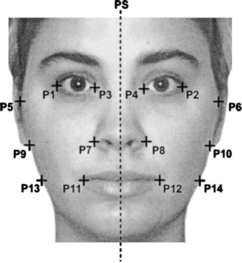 figure 1 from facial attractiveness signals different aspects of quality in women and men