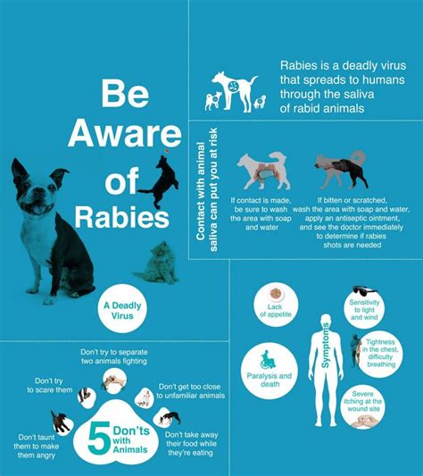 Be Aware Of Rabies Awareness Antiseptic Ointment Health Blog