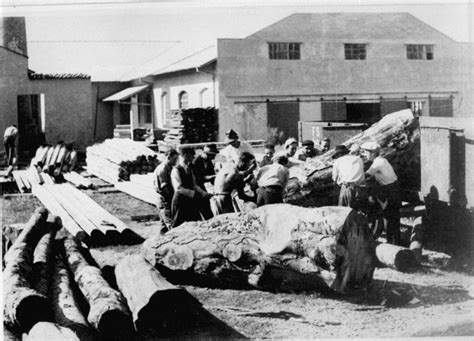 Jews In Forced Labor In Italian Occupied Gorizia September 1942