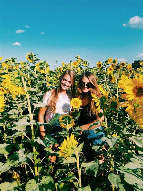 Vsco Kaitlynkeen Images Sunflower Photography Sunflower Field