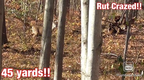 EP:7 CRAZY Rut Movement In Rochester (GIANT Spotted)!! - YouTube