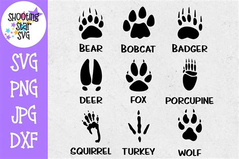Animal coloring pages for kids are an excellent way to learn about these or those animals who inhabit our planet. Animal Tracks - Animal Paw Prints - Children's SVG