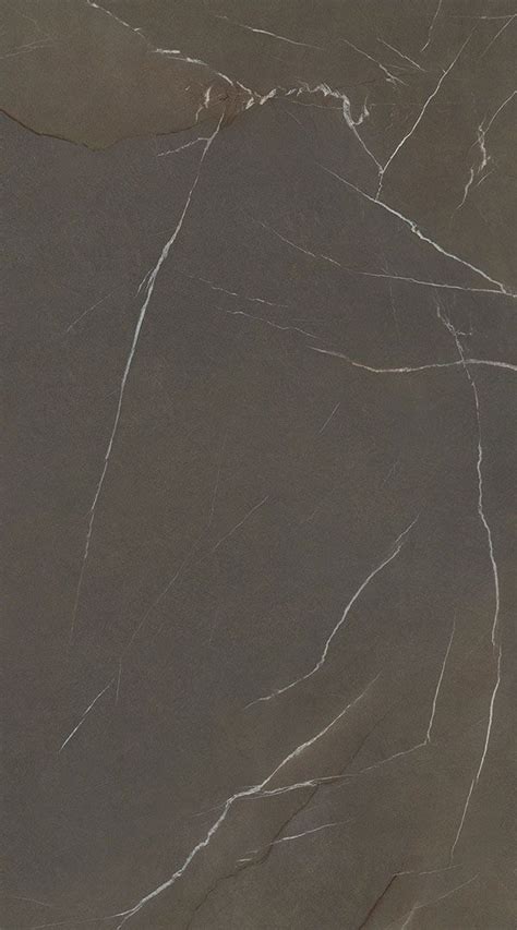 Pietra Piasentina Taupe Ollin Laminam In Side Collection