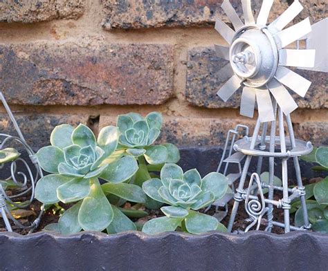 How To Quickly Update An Outdoor Planter Windmill And Protea