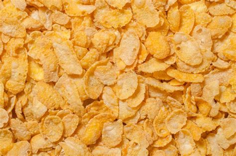 Delicious Cereals Stock Photo Image Of Ingredient Background 44959504