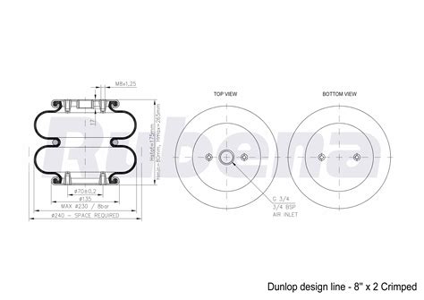 Dunlop Design Line 8“ X 2 Eco Rubenaeu