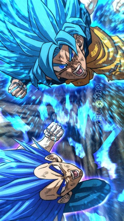 Goku And Vegeta From Dragonballs Son Goku Vegeta Dragon Ball Super Super Saiyan Blue Hd