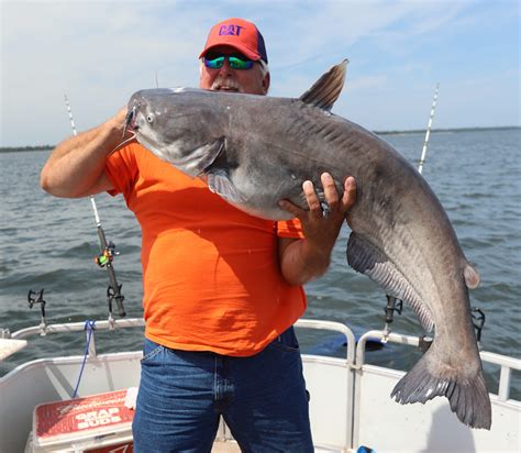 Randy Merrells 45 Pound Blue Catfish Carolina Sportsman