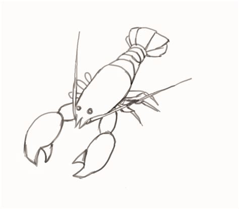 How To Draw A Lobster Easy Drawing Tutorial