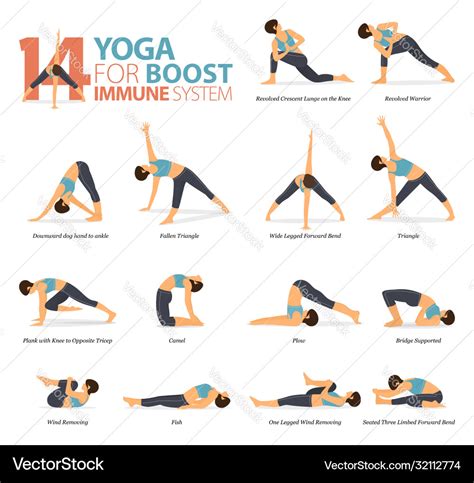 Share 130 Yoga Poses For Immune System Super Hot Vn