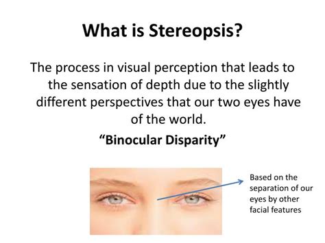 Stereopsis Test 1 Youtube
