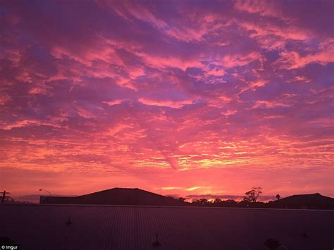 Sydney Wakes Up To Pink Skies And Fairy Floss Clouds Daily Mail Online
