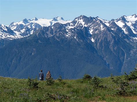 8 Best Things To Do In Olympic National Park Washington Trips To