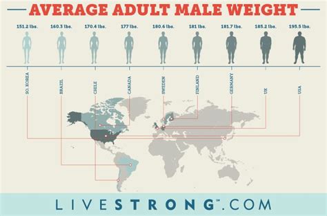 What Is The Average Adult Male Height And Weight Livestrongcom