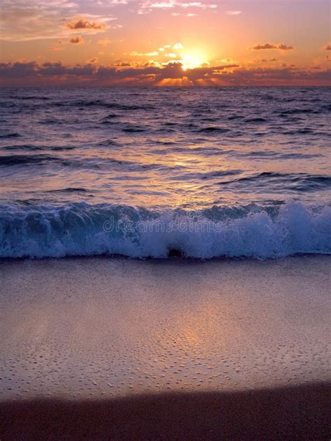 Palm Beach Sunrise Stock Image Image Of Beach Palm Carlton 509111