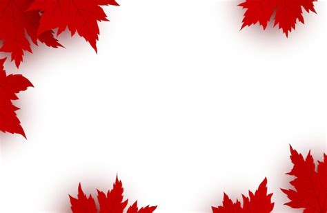 Premium Vector Canada Day Background Of Red Maple Leaves